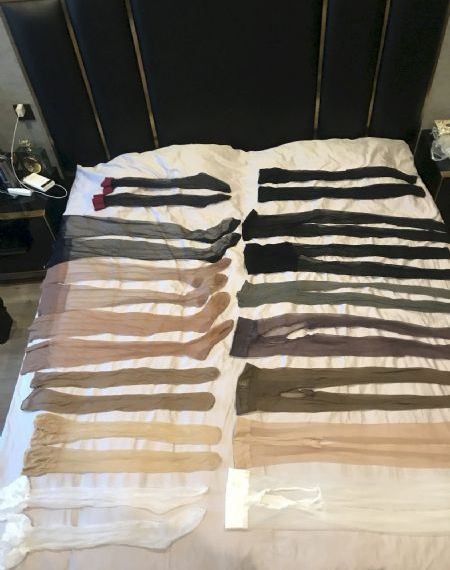 双性高h肉文