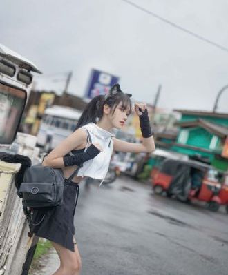 杨家将电视剧85版免费观看30集